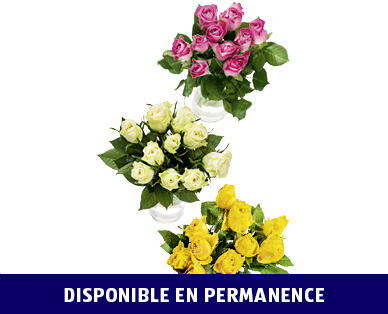 ROSES FAIRTRADE MAX HAVELAAR
