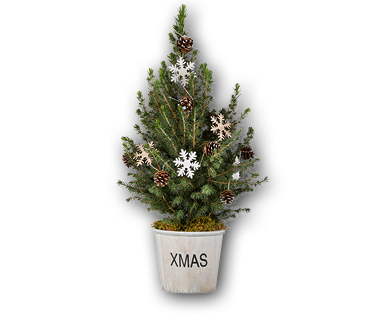 Petit sapin de Noël