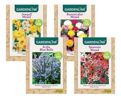 Assorted Packet Bulbs