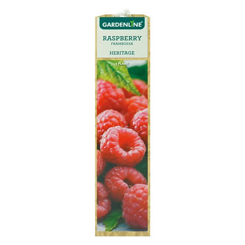 Berry Bush Assorted Varieties