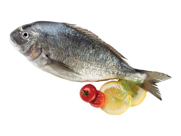 Sea Bream