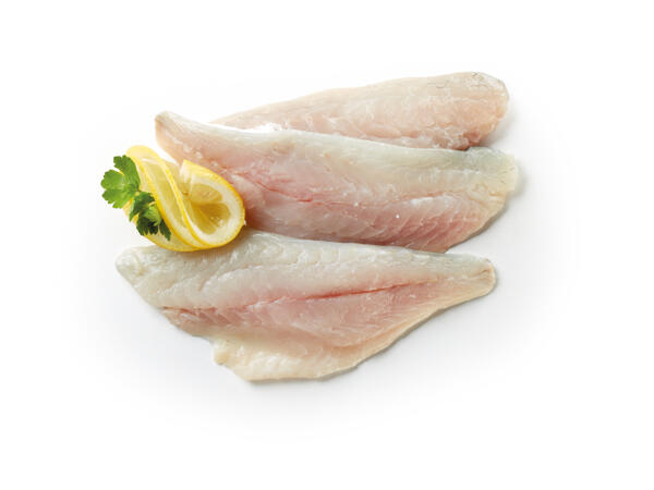 Fillet of Sea Bream