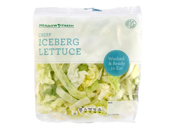 Meadow Fresh Iceberg Lettuce