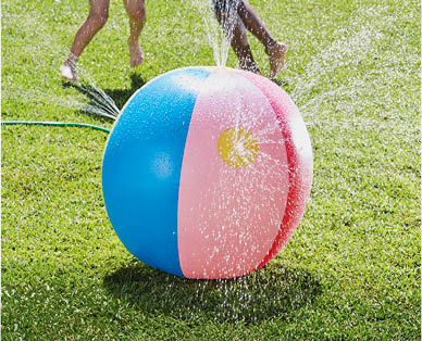 Assorted Sprinkler Toys