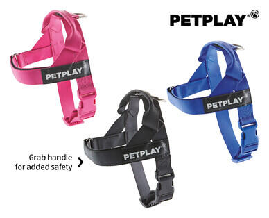 Extra Small or Small Dog Harness, Activity Lead or Rope Lead