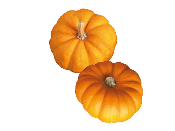Small Pumpkin