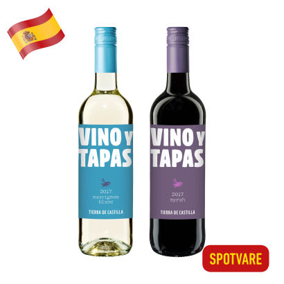 Tapasvin