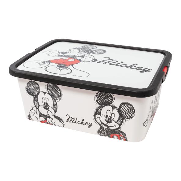DISNEY(R)/POKÉMON(R) 				Boîte de rangement