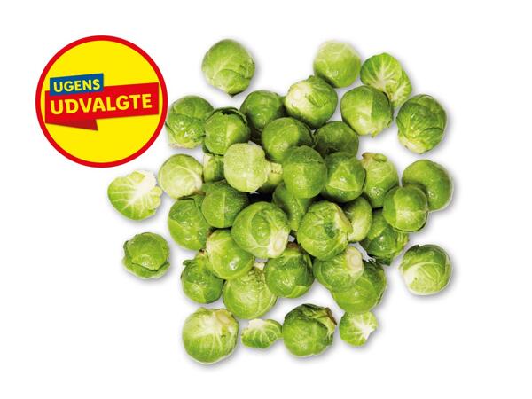 Rosenkål