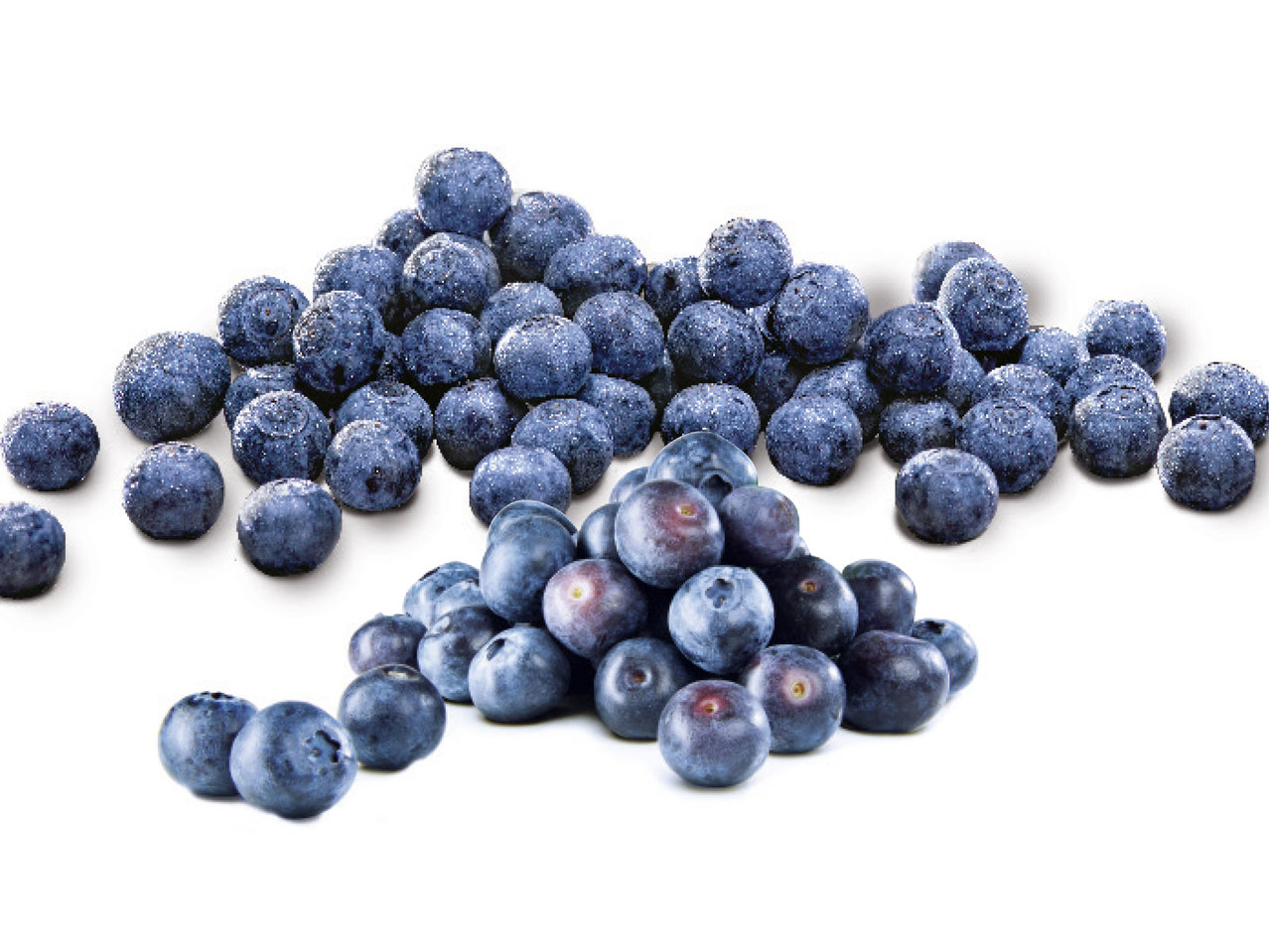 Heidelbeeren
