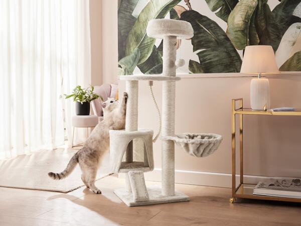 Arbre à chat