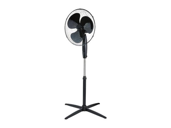 Black Pedestal Fan