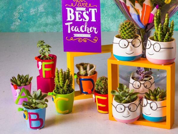 Thank you Teacher Plants