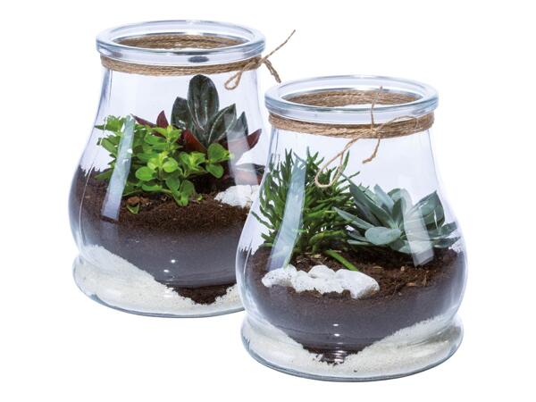 Mini Garden