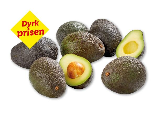 Avocado