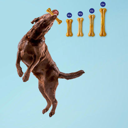 Os à mâcher pour chiens