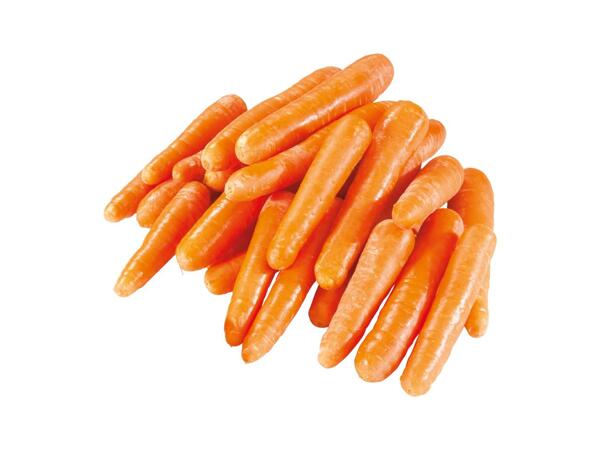 Kotimainen porkkana