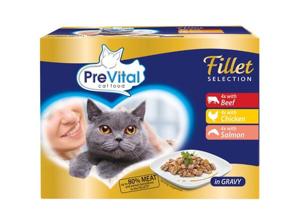 MASOVÉ FILETKY PRO KOČKY