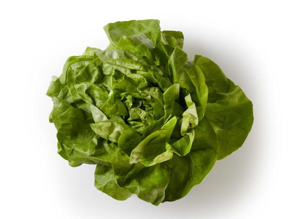 Lettuce