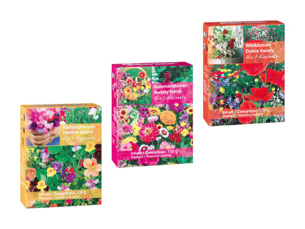 Mélange de fleurs d'été et sauvages