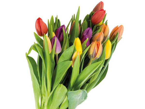 Tulpenstrauß Kunterbunt