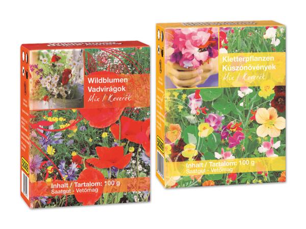 Saatgutmischung Wild-oder Sommerblumen