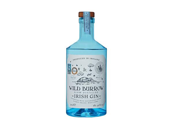 Gin Wild Burrow