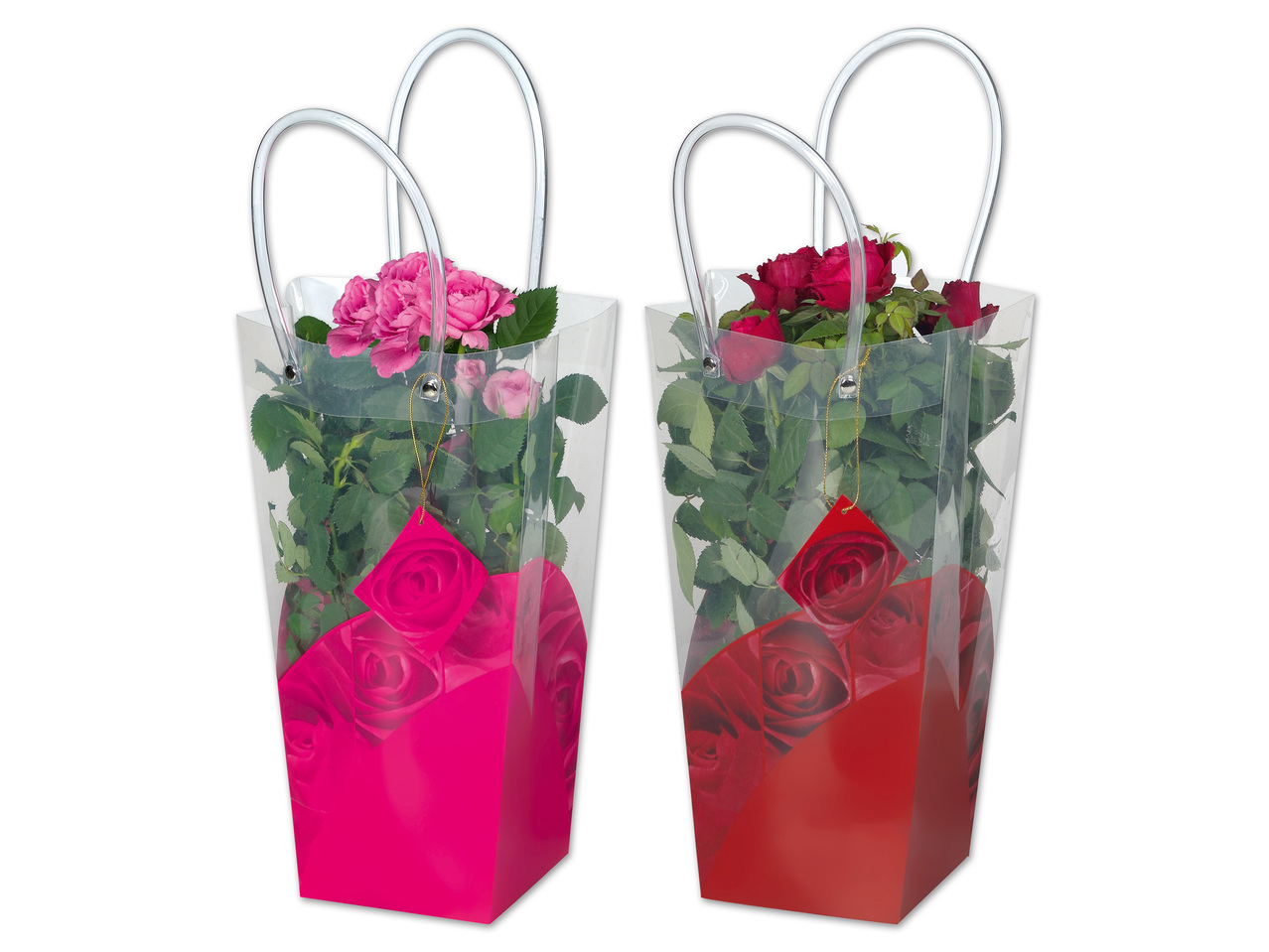 Topfrose in Henkeltasche