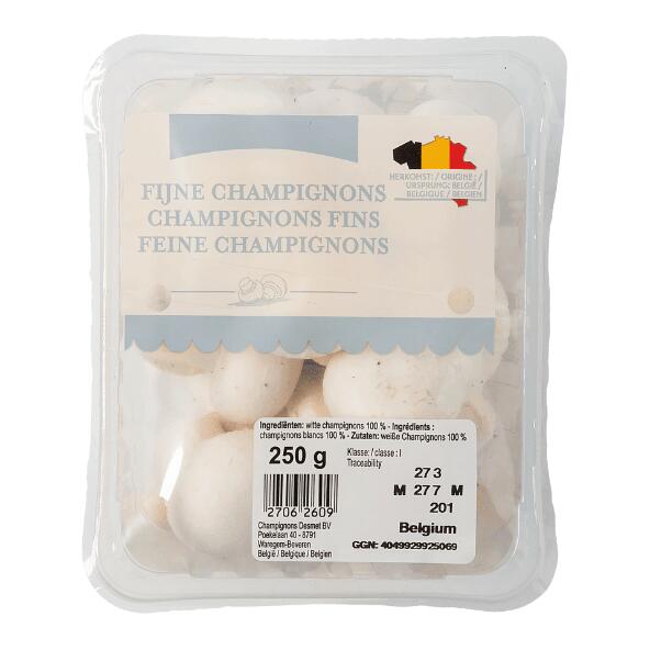 Feine Champignons