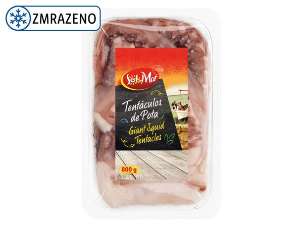 KALMÁR PERUÁNSKÝ