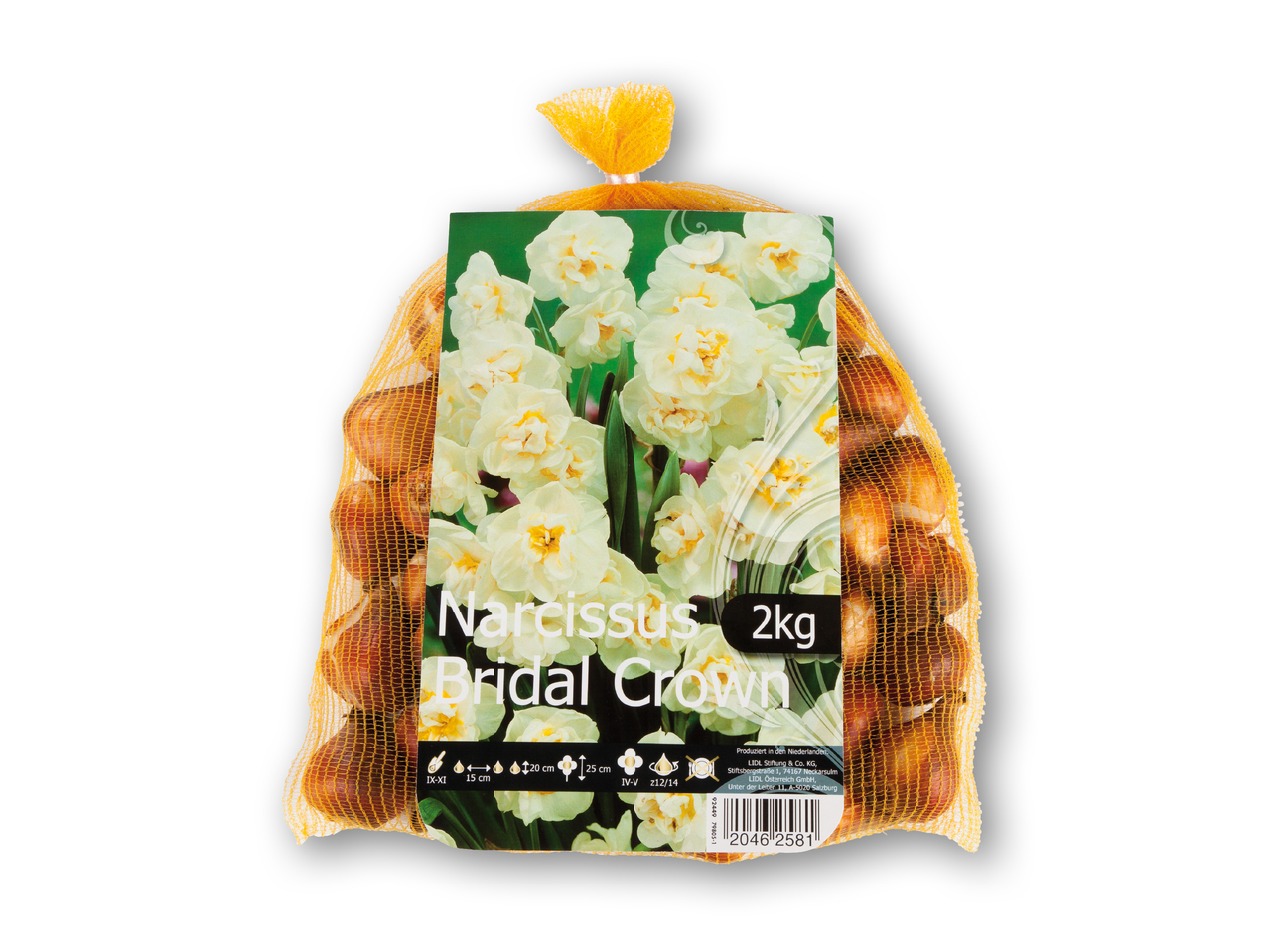 Påskelilje blomsterløg