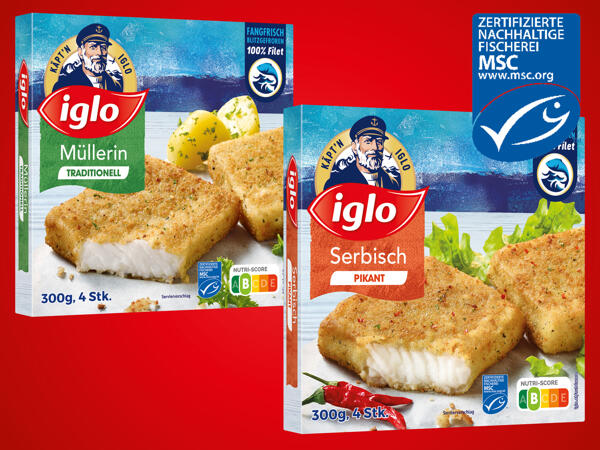 Iglo MSC Polardorsch