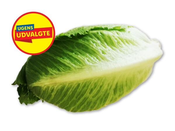 Nouvellesalat