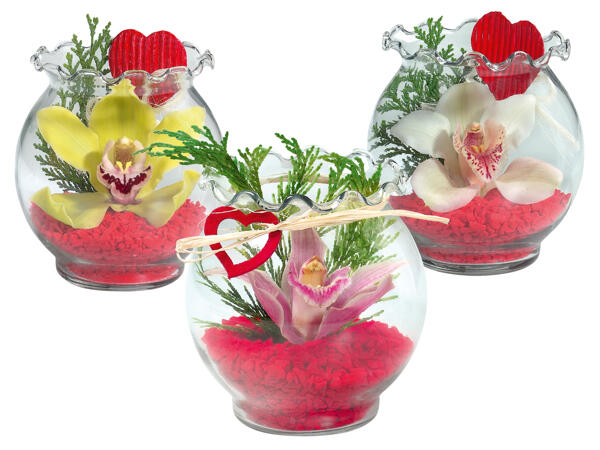 Orchideen Wellenrandglas