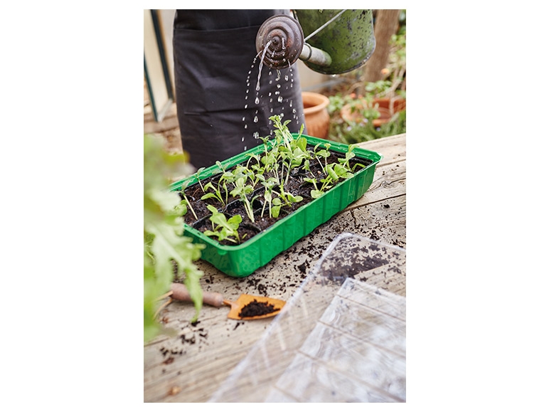 FLORABEST Seed Box Set