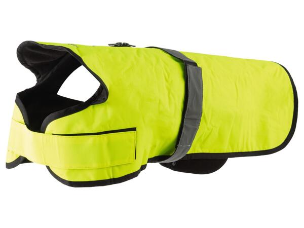 Dog raincoat