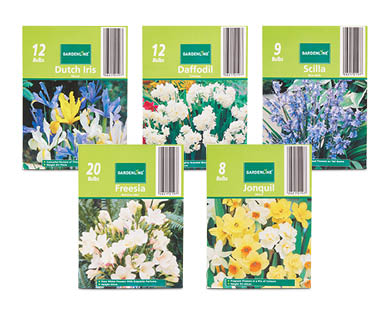 Assorted Packet Bulbs