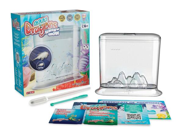 Aqua Dragons Hatch 'n' Grow