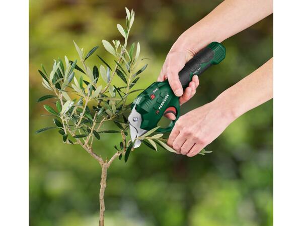 Cordless Secateurs