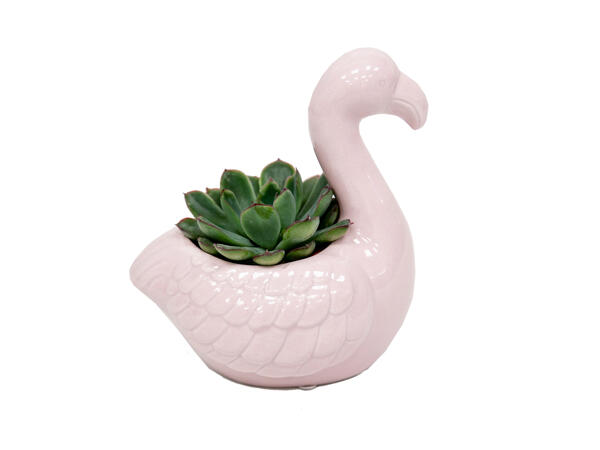Novelty Planter