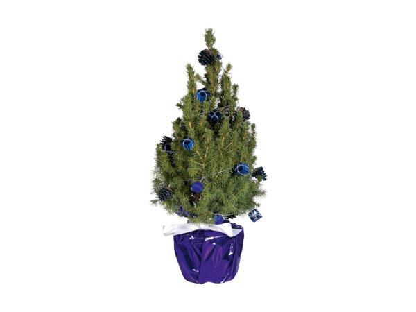 Sukkertop med julepynt