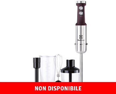 ELECTROLUX FRULLATORE A IMMERSIONE EHB1-6SS