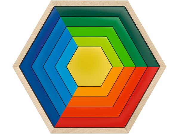 Motor Skills Puzzle