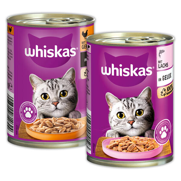Katzennassnahrung