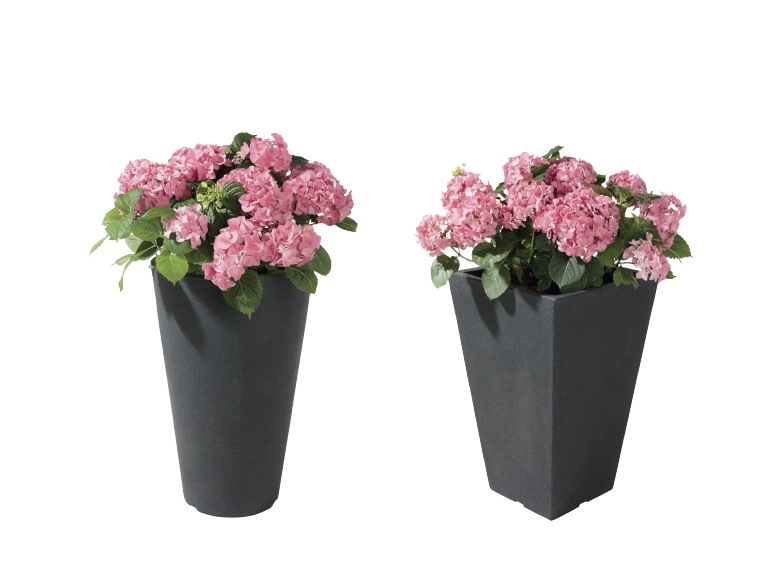 FLORABEST Tall Planter