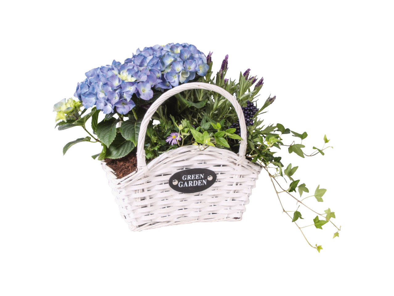 Mother's Day Gift Basket