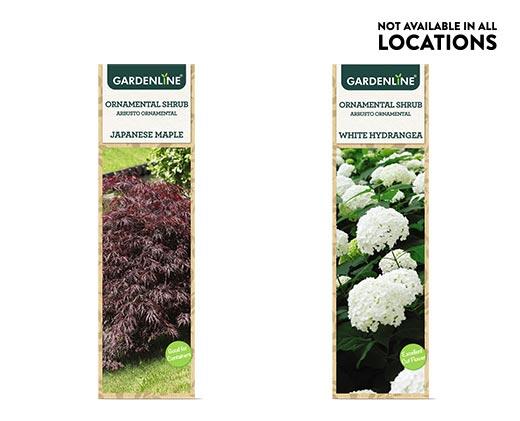 Gardenline 
 Ornamental Shrub Assorted Varieties