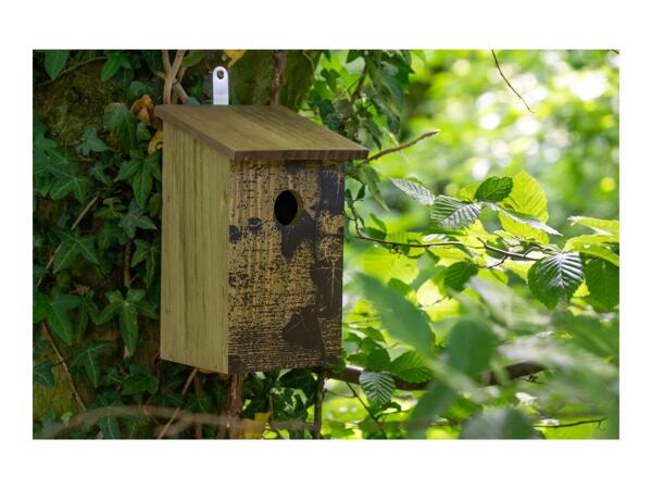 Dobar Bird Nesting Box