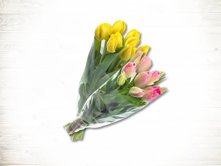 Tulipes (Tous les jours)