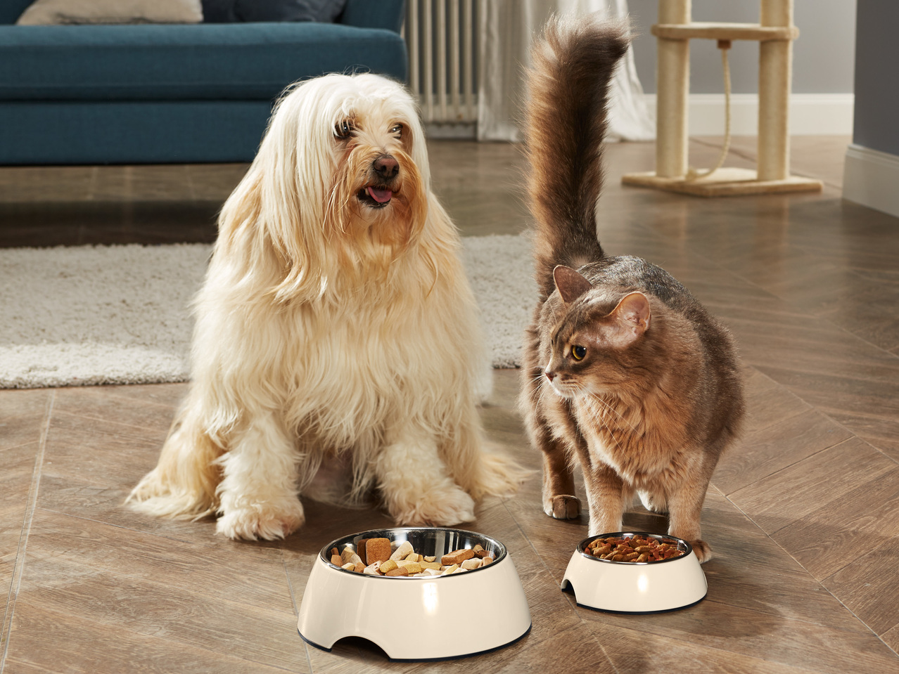 ZOOFARI(R) Futter-/Trinknapf